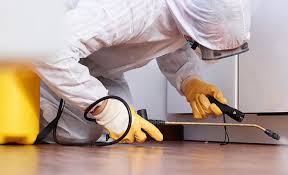 Best Pest Control for Hotels  in Doney Park, AZ